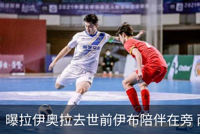 曝拉伊奥拉去世前伊布陪伴在旁 两人合作多年